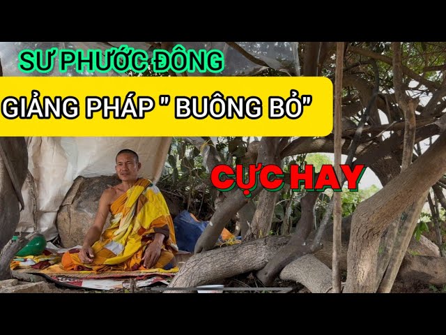 SƯ PHƯỚC ĐÔNG GIẢNG PHÁP “ BUÔNG BỎ” ĐỂ GIẢI THOÁT CỰC HAY CỰC THẤM