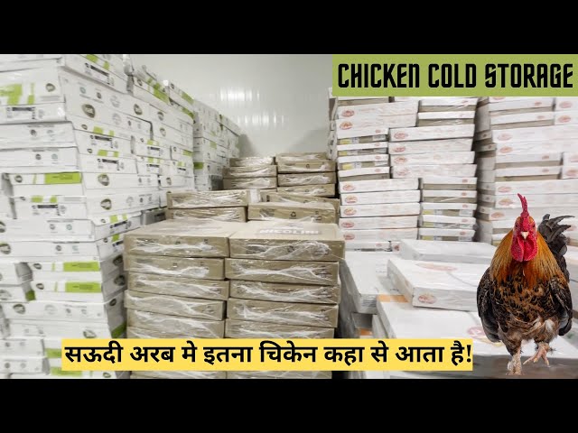 Chicken Cold Storage | iMteyaz Vlogs | Riyadh Saudi Arabia | 4K