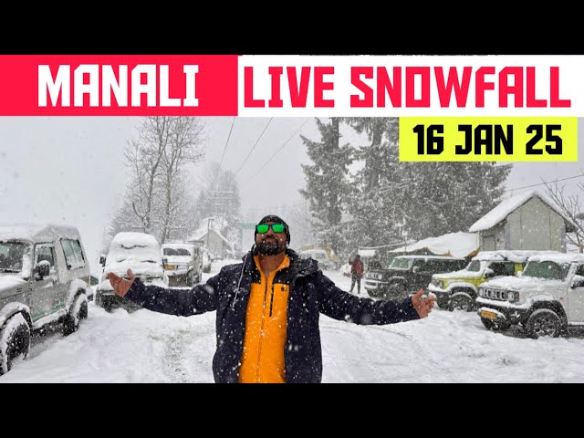 मनाली में मची बर्फ़बारी की धूम 🌧️⛈️ LIVE SNOWFALL IN MANALI #livesnowfall #manali #snow