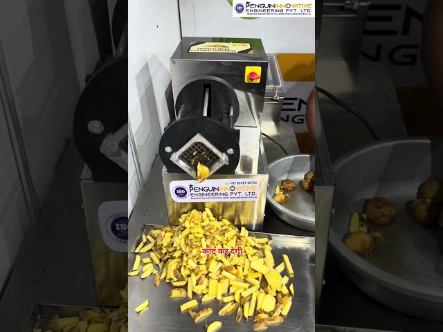 French Fries Cutting Machine | Aloo Kaatne Ka Machine | French Fries Cutter |#shorts #shortsfeed