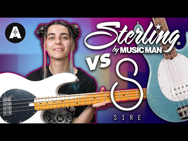 Sire Z Series vs Sterling Stingray Bass Guitar Shootout!