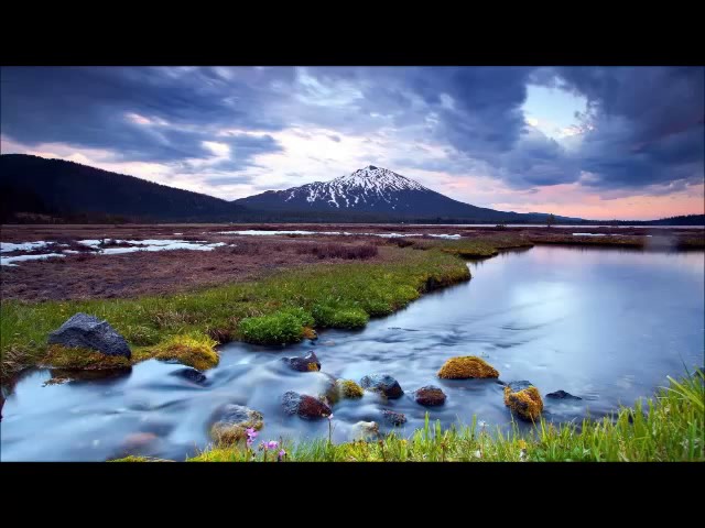 Rain Sounds with Tibetan Singing Bowls and Birds chirping