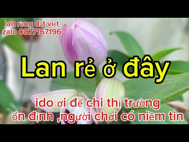 14/11 lan var ,lan đột biến ,giá rẻ ,kính mời anh chị em sưu tầm