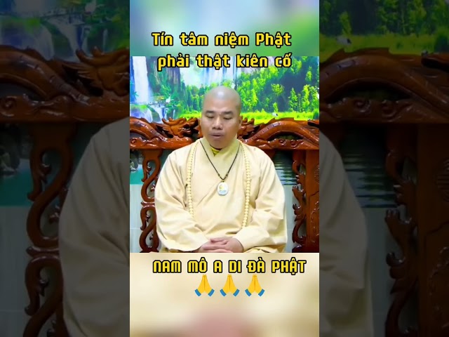 Tín Tâm niệm Phật phải thật kiên cố #thaynhuanduc #chuahophap