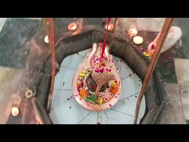 महादेव श्रंगार आरती दर्शन संपूर्ण संध्याकाल 🌺🙏🏻🕉#shiv #mahadev #satyamshivamsundaramtemple #god #om