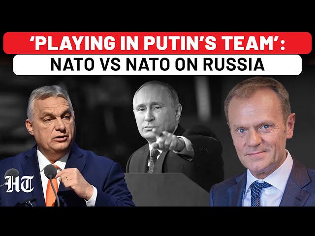 NATO Unity Goes For A Toss After Trump Return? Poland Vs 'Pro-Putin' Hungary Over Russia Sanctions