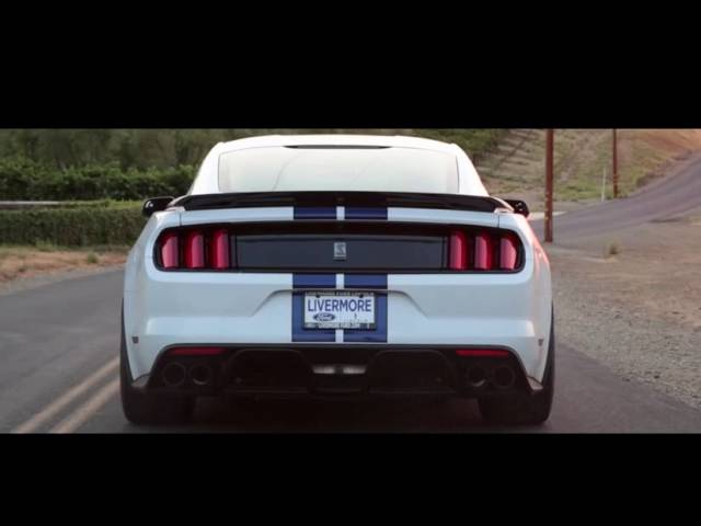 The BEST NEW CAR Under $50k! Shelby GT350 Review!