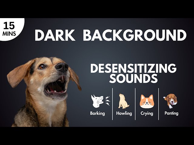 Desensitizing Sounds - Barking, Howling, Crying, Panting | Overcome Triggers Reactive Sensitive Dogs