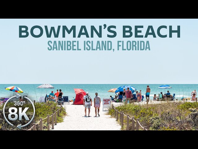 Sunny Day at Bowmans Beach (Sanibel, Florida) - 8K 360° VR Ocean Beach Relaxation