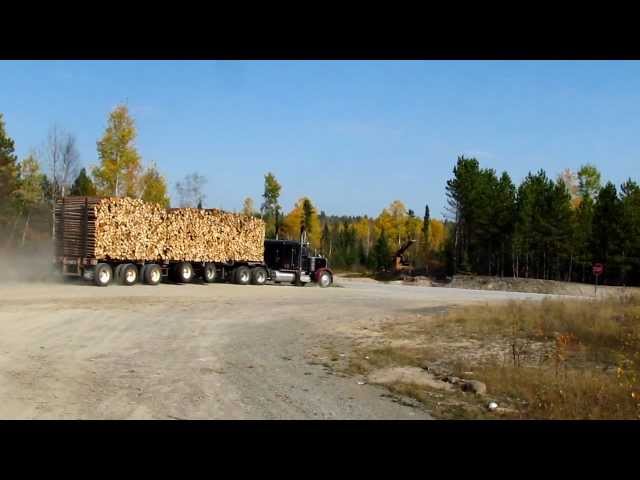 Peterbilt 359 Classic BIG SMOKE! w/ 5 axle LBC log trailer  (HD)