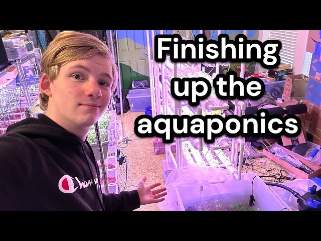 Finishing up the aquaponics