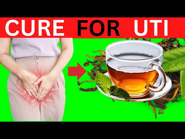 12 Best Herbal Cures For UTI & Protect Your Kidney From Infections