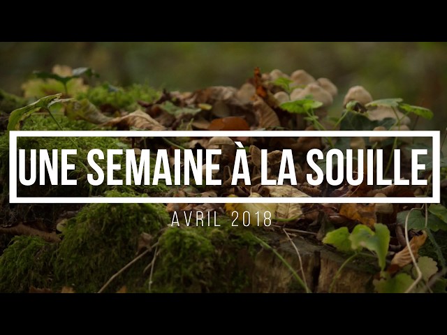 Une semaine à la souille