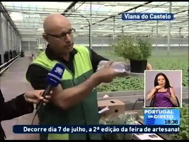 Aromáticas Vivas no Portugal em Directo pt2