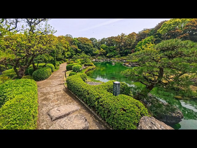 Why Ohori Park is Japan's Most Instagrammable Garden