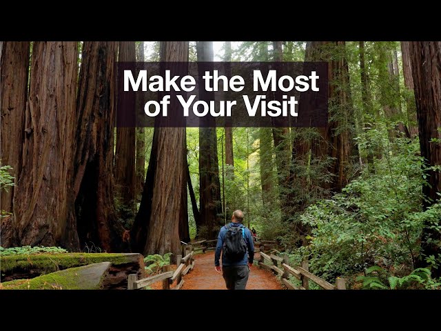 Muir Woods National Monument Must-Do Hikes