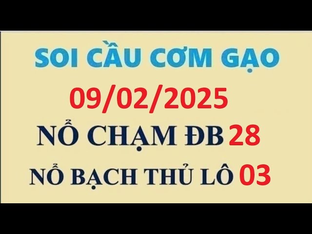 Soi Cầu Cơm Gạo - soi cầu xsmb 09/02 - dự đoán xsmb hôm nay - nuôi lô xsmb