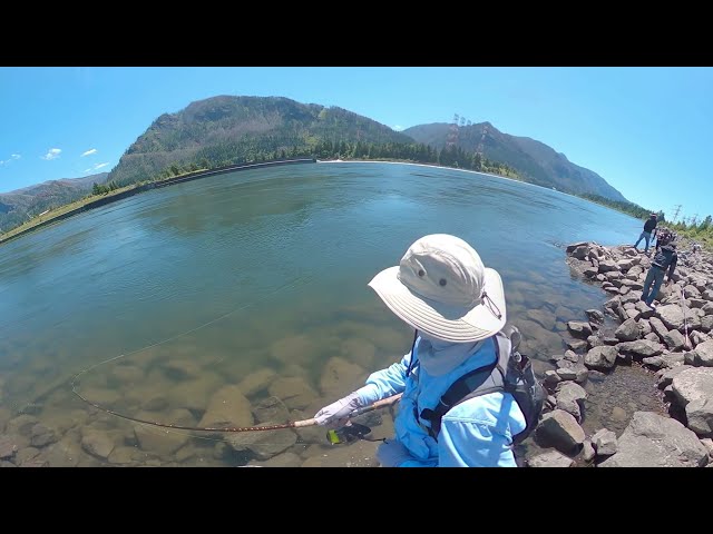 Bonneville Dam Shad Fishing in 360° View