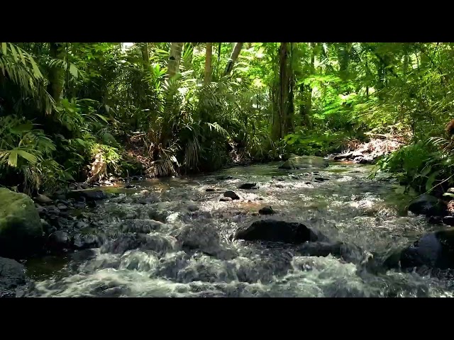 Calm River Flow for Better Sleep and Stress Relief