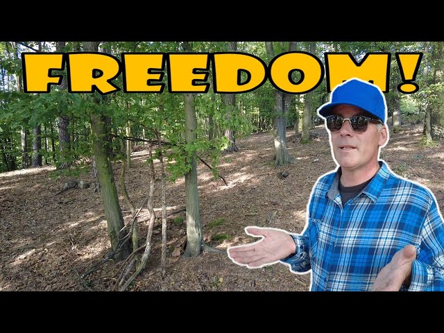 Freedom | The paradox in our attempt to find absolute Truth