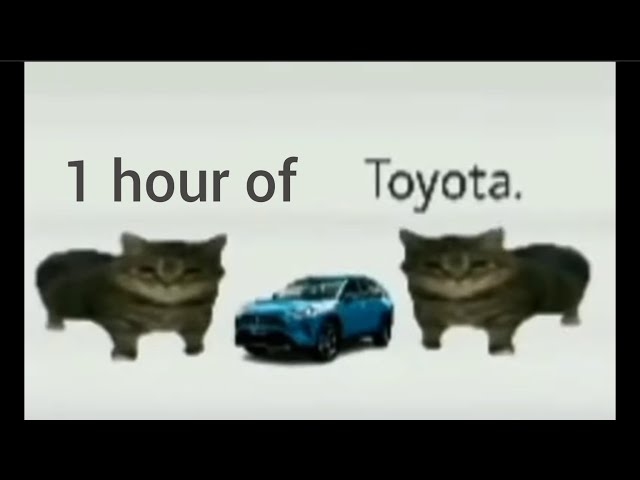 Toyota 🚙 1 hour