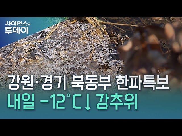 강원·경기 북동부 한파특보...내일 -12℃↓ 강추위 / YTN 사이언스