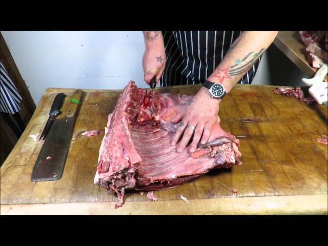 How To Butcher A Wild Boar/Hog. TheScottReaProject.