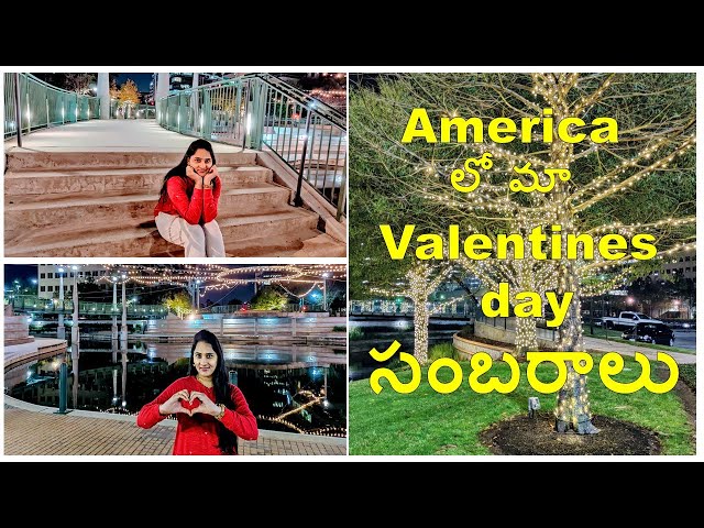 Our Valentines Day celebrations| Telugu vlogs from USA| Texas snow storm| #DYI #DIML maa special| AS