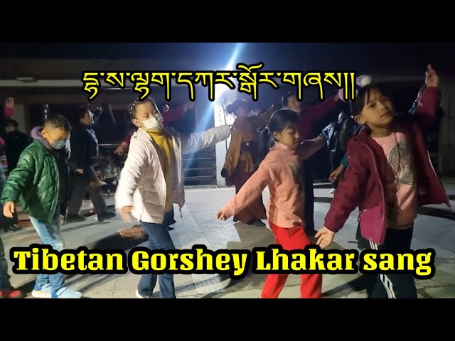 དྷ་ས་ལྷག་དཀར་སྒོར་གཞས།།   08 Feb 2023                   Tibetan Gorshey Lhakar sang