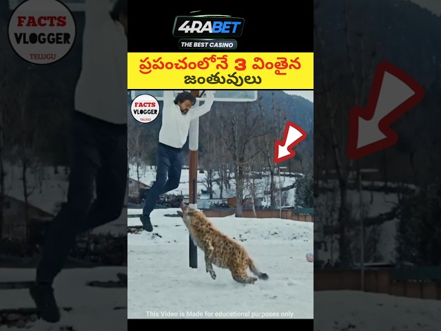 Top 2 weared animals 😱|🔥 intresting facts in telugu|#telugu #telugufacts #facts