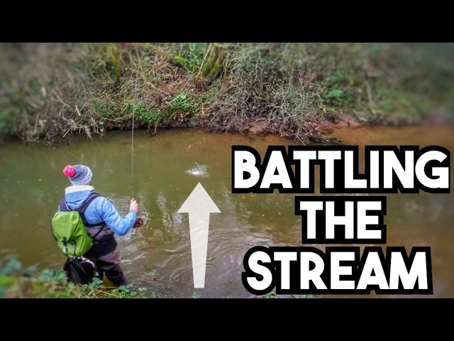 Small Stream Grayling Fly Fishing UK