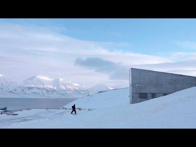 FROZEN HERITAGE — Arctic Vaults & The Future of our History