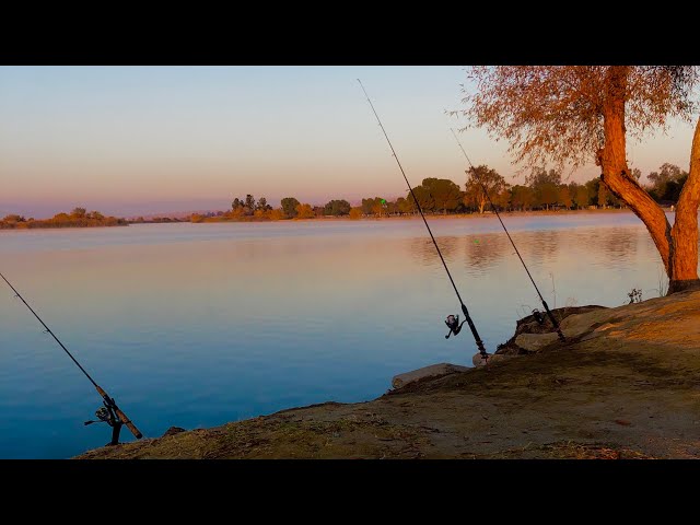 Buena Vista Lake Trout Fishing w/ @AHFishing (First Official Stock) #angling #fishing #troutfishing