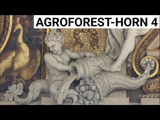 ***4 CARBON AGROFOREST: BEST HEALTH & HORN OF ABUNDANCE & SOLVING