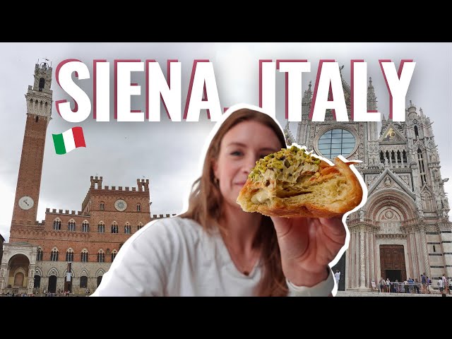 🇮🇹 5 Hours in Siena | Come Solo Travel this Italian Town | Top Tips