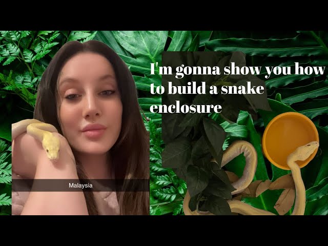 How to build a snake enclosure and come see my snakes ‘Burmese python’ and ‘hognose’￼