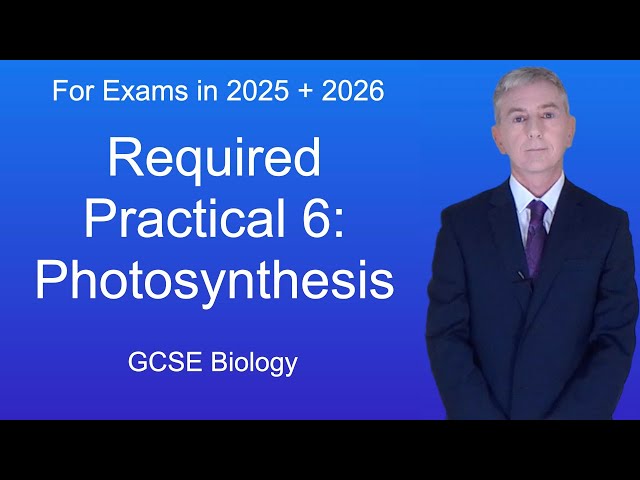 GCSE Biology Revision "Required Practical 6: Photosynthesis"