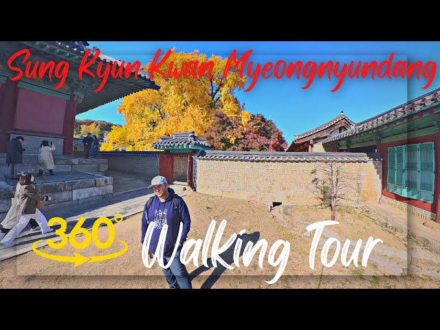 (A real hidden gem!) Seoul Fall Foliage in 360! Sung Kyun Kwan Myeongnyundang