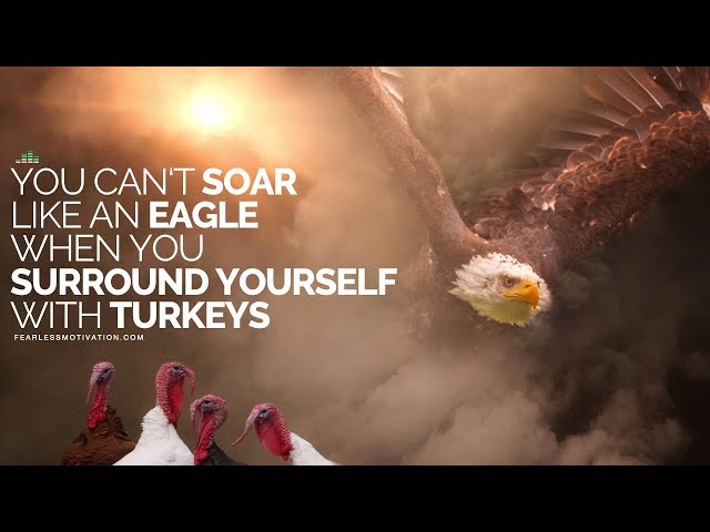 You Can't Soar Like An Eagle When You Surround Yourself With Turkeys - Motivational Speech