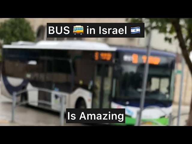 BUS IN ISRAEL IS AMAZING!