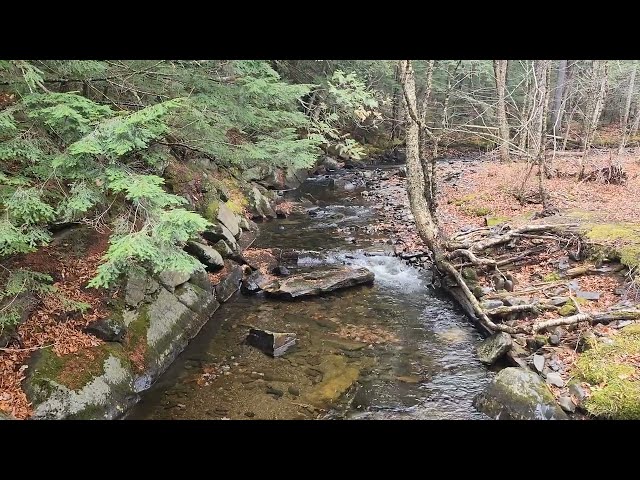 Water Running Across the Seasons