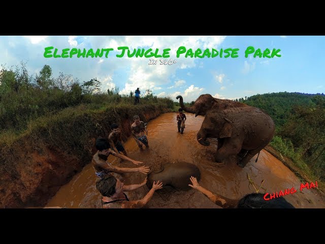 Elephant Jungle Paradise Park in 360º