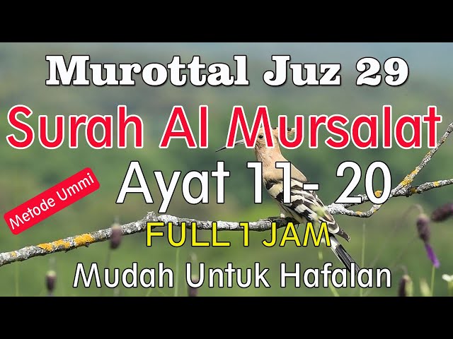 Surat Al Mursalat Ayat 11-20 | Surat al-mursalat ayat 11 sampai 20