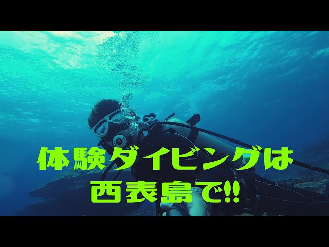 西表島で体験ダイビング !!   第332話 グッドダイブ GOODDIVE