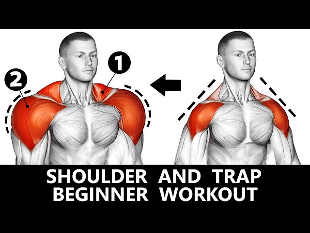 SHOULDER AND TRAP WORKOUT  BEGINNER WORKOUT  MUSCLE BUILDING WORKOUT