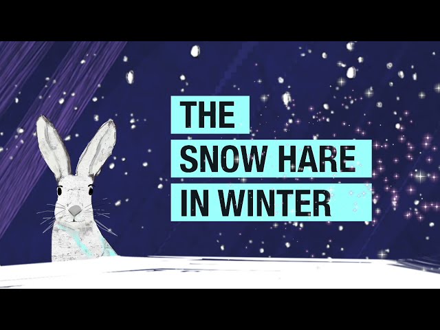 The Snow Hare in Winter 2021 Trailer