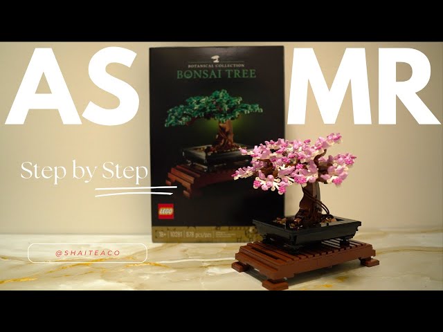 Follow along [LEGO ASMR - Bonsai Tree 🌸] No talking