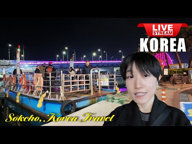 Live Korea 🇰🇷 Walk Tour Korea 🤩 Sokcho Travel, Beautiful Korean Tourist Spot | Korean Food Street