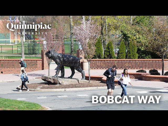 360 Tour: Bobcat Way