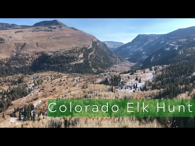 Colorado Elk Hunt